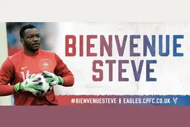 官方：水晶宫签下法国门将曼丹达图片