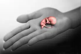 女子做人流后仍有妊娠 医院：未做“干净” 赔4000元图片