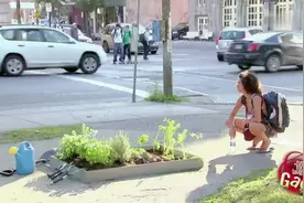 爆笑恶作剧：路人帮忙照看胡萝卜，野兔被追打无奈高举白旗投降！