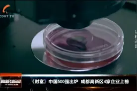 《财富》中国500强出炉 成都高新区4家企业上榜视频封面