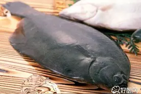 比目鱼的营养价值图片