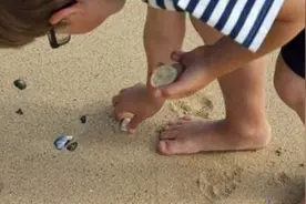 为何泰国政府要下达条令，禁止游客捡贝壳？今天总算知道了视频封面