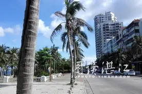 湛江主城区新建道路巡礼之观海路、观海北路下篇图片