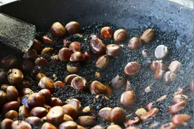 美味的板栗，为什么在英国却泛滥成灾了？