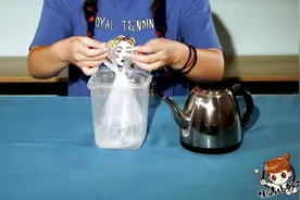 自制驱赶苍蝇的用具，物理小妙招非常管用，试试你就知道了视频封面