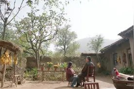 婆婆和柿红细说完柿子树的故事之后，不幸离世了视频封面