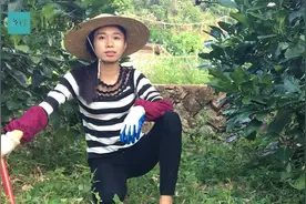 不看不知道，你们城里人根本无法了解得到农村小姐姐有多辛苦视频封面