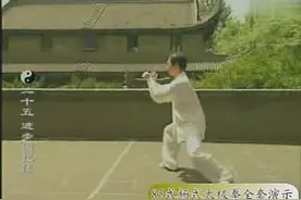 带字幕85式杨式传统太极拳全套演示 惠合同