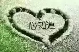 《妻子的一封家信》即使赢了世界，失去你仍是我心底最深的痛图片