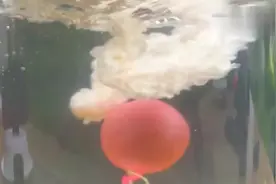 将胶水注入水中，现象我就想不通了，什么原理？视频封面