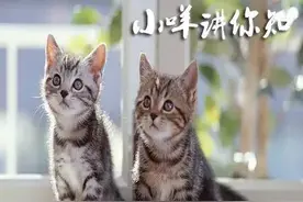 听听 | 羊小咩讲你知142期：羊小咩画风突变，不来听听看吗？图片