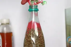 自制中药卡麦钓鱼法，用了一段时间，钓上的都是大板鲫视频封面