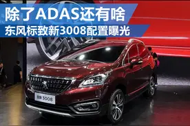 标致30082015款图片