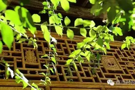 有你家吗？云南181个古村落获中央财政支持！昆明3个入选！图片