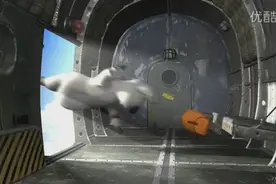 倒霉熊，倒霉熊在飞机上遇到危机，跳伞打不开！