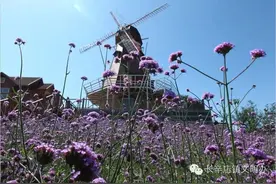 “大风车亲子嘉年华”等你来抢票图片