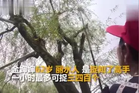 杭州知了多到成灾，绿化站请来大妈高手，教市民学抓知了！