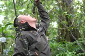 丛林水藤！找到它丛林里就不缺水啦啊！
