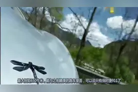 可与保时捷911比肩的国产纯电动超跑车标就是一只蜻蜓