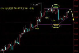 小狼：早盘急跌探底回升，晚盘做空看整理图片