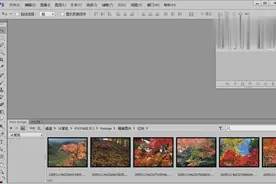 PS全套教程：2-5 在Mini Bridge中浏览图像