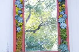 图示┃如何制作一面多肉植物画框，比想像中容易多了！图片