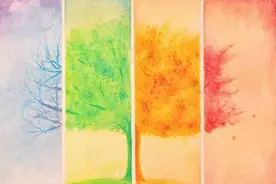 理解气质类型：欣赏我们的不同图片