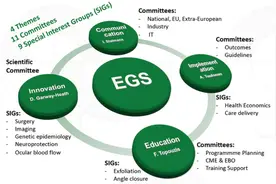 EGS2016睡眠时侧卧位可能导致青光眼患者视力下降图片