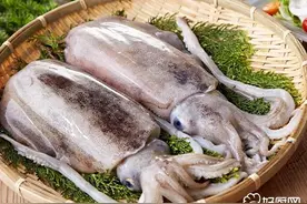 墨鱼的烹饪指导图片