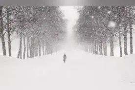 雪的纯白山的空灵，两首干干净净的小诗，美得一尘不染|冲击头条诗人图片