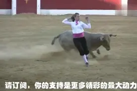 女斗牛士斗牛，来逗牛的图片