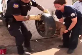国外警察解救一条卡在旧轮胎里的狗，尊重每一个生命，太有爱了！图片