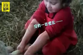 每日一绝丨英国3岁萝莉成功给羊接生，她对镜头欢呼“是个女孩”图片