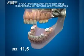 科普：牙齿生长过程视频封面
