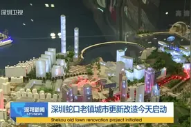 深圳蛇口老镇城市更新改造今天启动视频封面