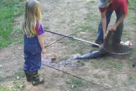 小女孩钓大鱼，真不容易的图片