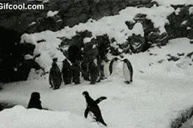 南方孩子第一次看到北方大雪的样子图片