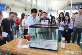 涂料养鱼、喝涂料这些手段 真的能证明产品环保吗？图片