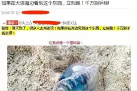 这不是塑料袋吗！“剧毒”僧帽水母，为啥长成这样？图片
