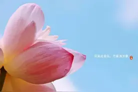 倏忽温风至，因循小暑来图片
