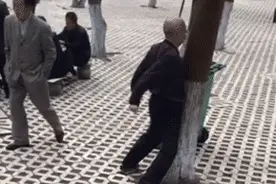 白菜有没有拱着不知道，反正养了20多年的猪肯定是丢了图片