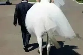 婚礼一定要请个靠谱的摄影师，否则你一定会想抽他的图片