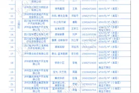 2016年泸州第二批进入政府购房补助目录库楼盘信息公示图片