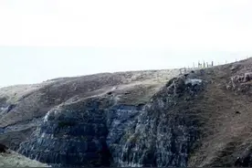 狗狗为了追兔子掉下悬崖，这个国家的做法让人敬佩图片