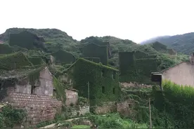 现实版的绿野仙踪——枸杞无人村图片