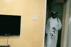 搞笑gif：高手玩球，我去！完全没有ps痕迹！图片