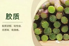 关于铁皮石斛，十二个你应该知道的知识图片