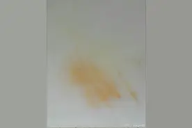 清洁小妙招：如何去除菜板上黄渍？图片