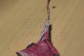 坑爹的娃！三岁女儿用百元大钞叠出玫“贵”花图片