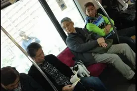电车上巧遇迷路小猫，有爱乘客帮猫咪找回家图片